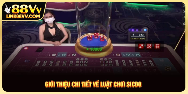 Giới thiệu chi tiết về luật chơi sicbo dễ hiểu cho người mới