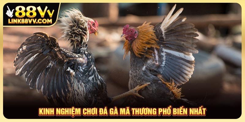 Kinh nghiệm chơi đá gà mã thương phổ biến nhất