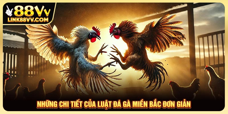 Những chi tiết của luật đá gà miền Bắc đơn giản
