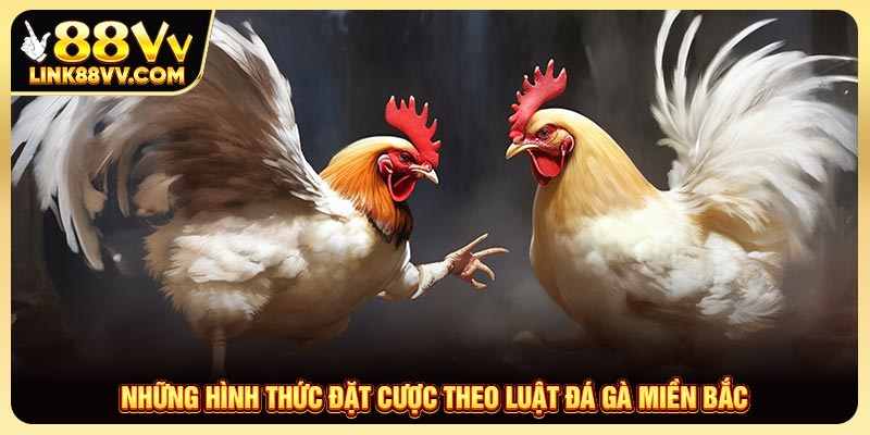 Những hình thức đặt cược theo luật đá gà miền Bắc
