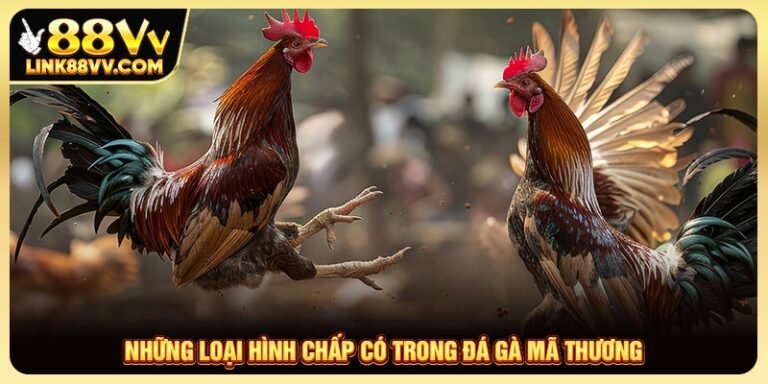 Những Loại Hình Chấp Có Trong Đá Gà Mã Thương