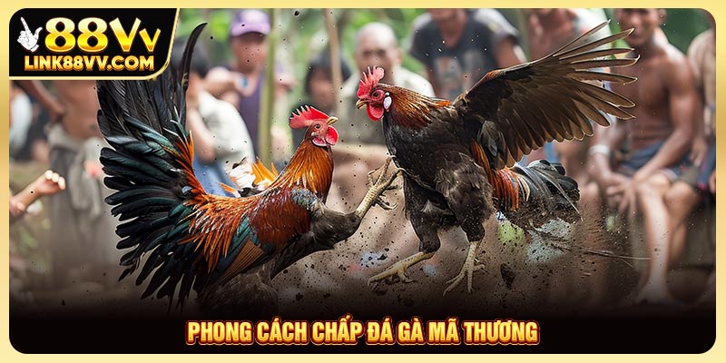 Các phong cách chấp đá gà mã thương