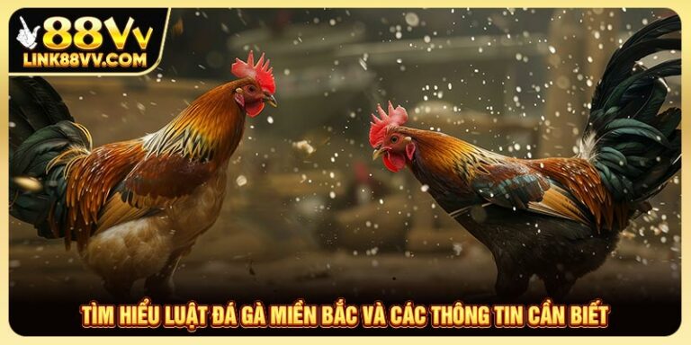 Tìm Hiểu Luật Đá Gà Miền Bắc Và Các Thông Tin Cần Biết