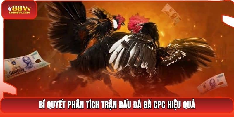 Bí quyết phân tích trận đấu đá gà CPC hiệu quả