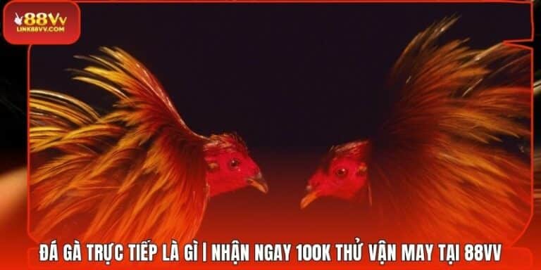 Đá Gà Trực Tiếp Là Gì | Nhận Ngay 100k Thử Vận May Tại 88VV