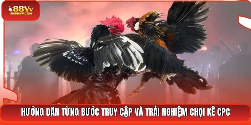 Hướng dẫn từng bước truy cập và trải nghiệm chọi kê CPC