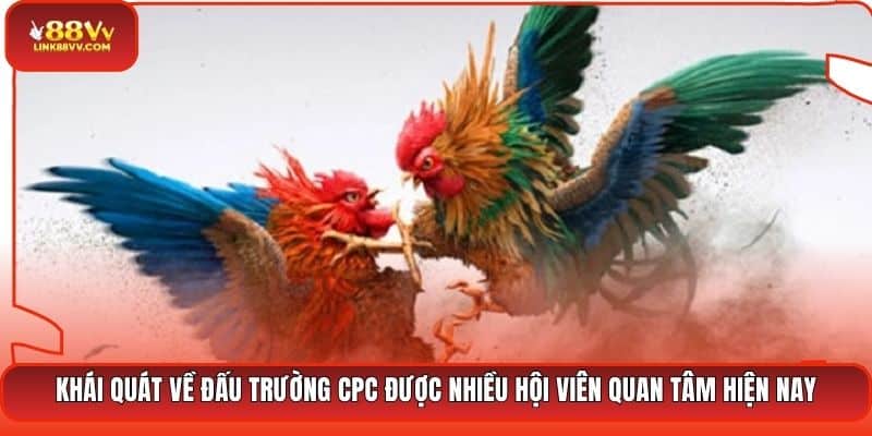 Khái quát về đấu trường CPC được nhiều hội viên quan tâm hiện nay