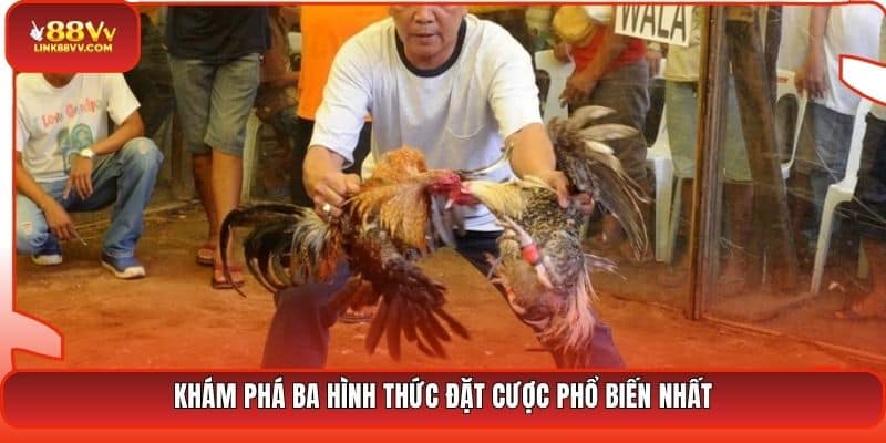 Khám phá ba hình thức đặt cược phổ biến nhất