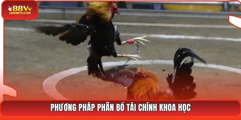 Phương pháp phân bổ tài chính khoa học