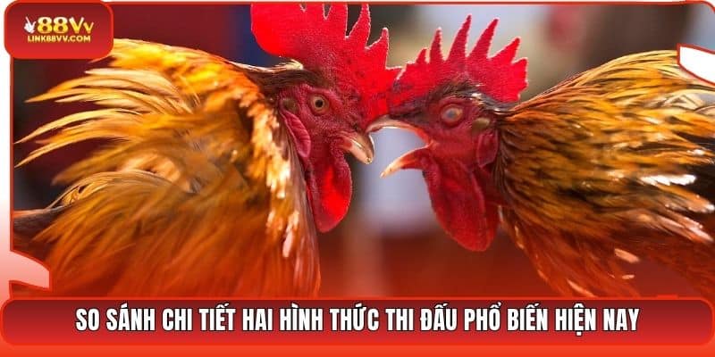 So sánh chi tiết hai hình thức thi đấu phổ biến hiện nay