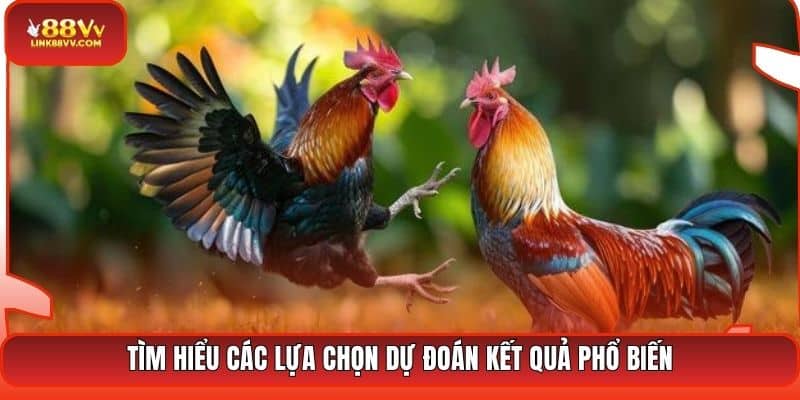 Tìm hiểu các lựa chọn dự đoán kết quả phổ biến