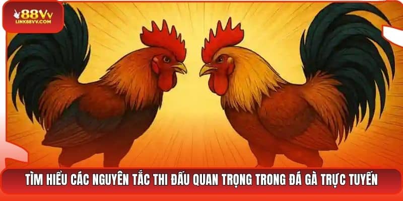 Tìm hiểu các nguyên tắc thi đấu quan trọng trong đá gà trực tuyến