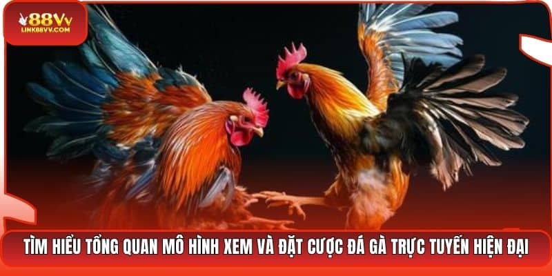 Tìm hiểu tổng quan mô hình xem và đặt cược đá gà trực tuyến hiện đại