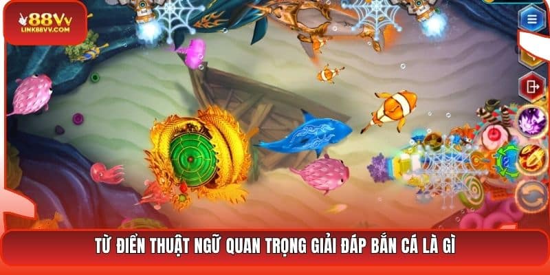 Từ điển thuật ngữ quan trọng giải đáp bắn cá là gì