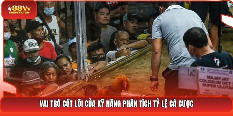 Vai trò cốt lõi của kỹ năng phân tích tỷ lệ cá cược